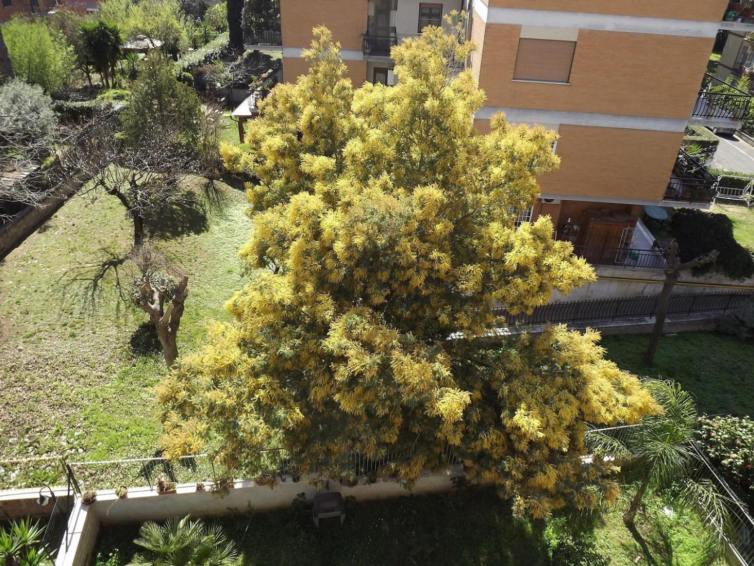 Gilda Vacanze Metro Battistini Roma Exterior foto